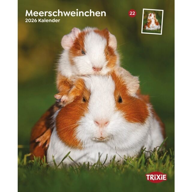 Bild 34 von 47