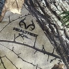 Bild 11 von 16