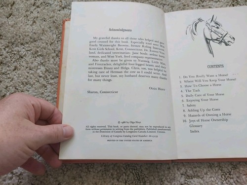 IF YOU WANT A HORSE by Olga Hoyt Illustrated by Sam Savitt HC 1966 Vintage - Foto 5 di 7