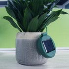2 PCS Flower Pot Lights, Solar Outdoor Waterproof Led for Potted Plants