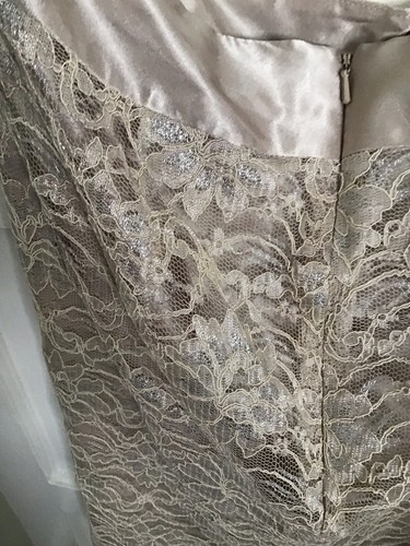 BNWT Beautiful Women’s Skirt size 14 Champagne Colour Fully Lined Party Wedding - Picture 7 of 11