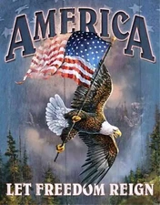 America Let Freedom Reign Sublimated Double Sided  Garden Flag 12" x 18" sgf140