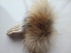 Bild 10 von 10