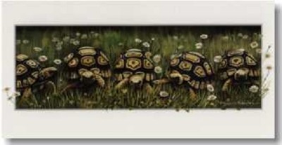 On Your Marks Tortoise blank greeting birthday card Pollyanna Pickering