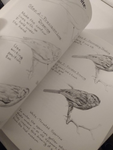 Pencil Drawing AL03 by Gene Franks 1988 Softcover - Bild 5 von 11