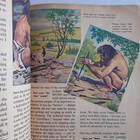 Picture 19 of 22