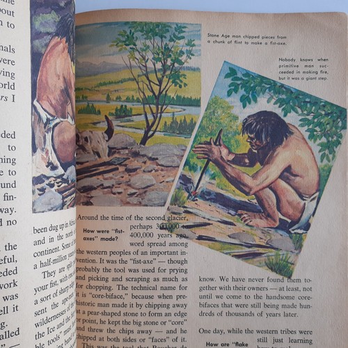 The How and Why Wonder Book, Primitive Man, 3x Vintage Paperback, Donald Barr - Picture 19 of 22