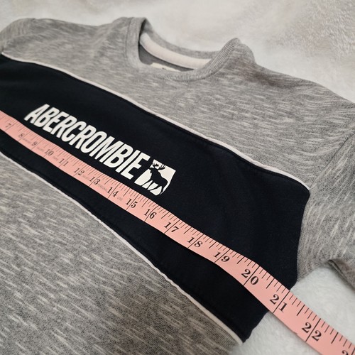 Abercrombie Kids 15/16 Spellout Pullover With Moose Blue and Gray - Picture 4 of 8