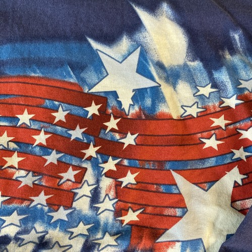 Panhandle Slim Boys Long Sleeve Button Front Western Shirt Sz L/14 (F4) - Picture 5 of 11