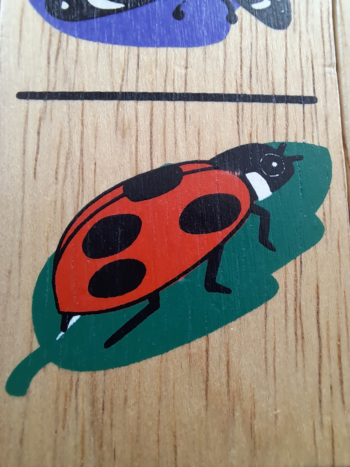 Bild 17 von 19