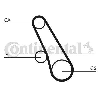 ENGINE TIMING BELT CT991 CONTINENTAL CTAM I - Picture 3 of 6