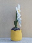 Bild 2 von 6
