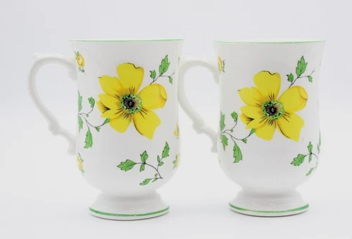 2 Royal Victoria Fine Bone China Rosebud Dogwood England Footed Mug