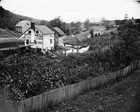New 8x10 Civil War Photo: View of Antietam Creek and Bridge at Sharpsburg