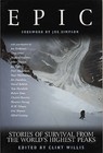 Epic by Clint Willis (Paperback, 1999)