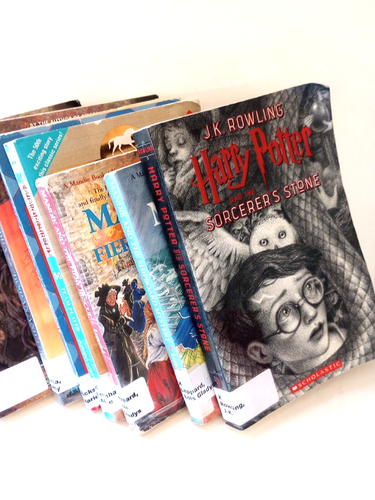 Fantasy 7 Book Bundle Harry Potter, Rowan Series, Others Paperback  - Picture 1 of 9