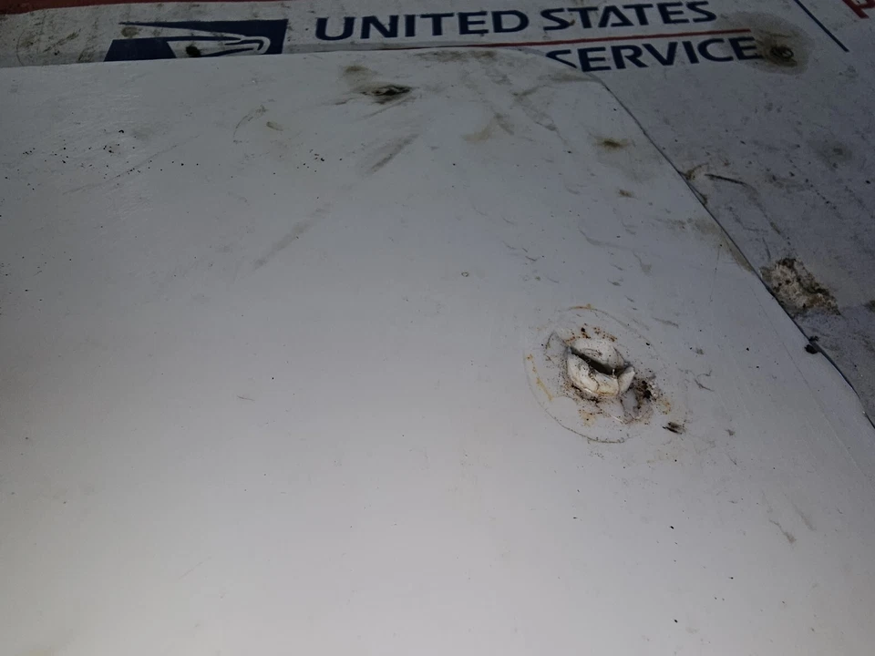 Suzuki DS100 1979 matrícula delantera Foto 4 de 4