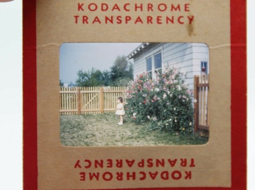 Lote de 30 Diapositivas Familiares Navidad Kodachrome - Imagen 4 de 5