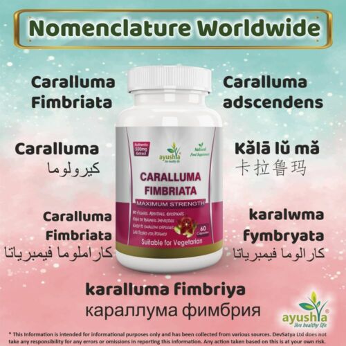 Caralluma Fimbriata Capsule 500mg Extract Vegan Capsule - Picture 3 of 15