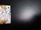 Picture 6 of 14