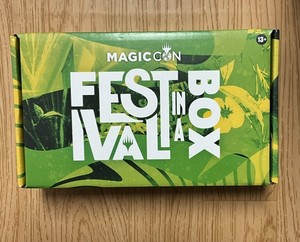 Festival in a Box Chicago | eBay