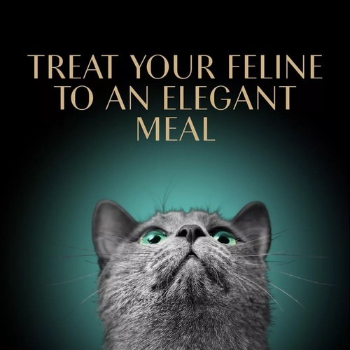 Sheba Gravy Indulgence Adult Wet Cat Food, Variety Pack Flavor,2.64 Oz (12 Pack) - Picture 3 of 9