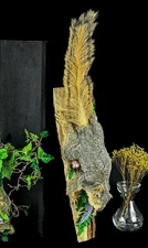L44d Taxidermy Oddities Curiosities MONSTER fox Squirrel collectible wall mount
