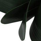 Bild 11 von 12