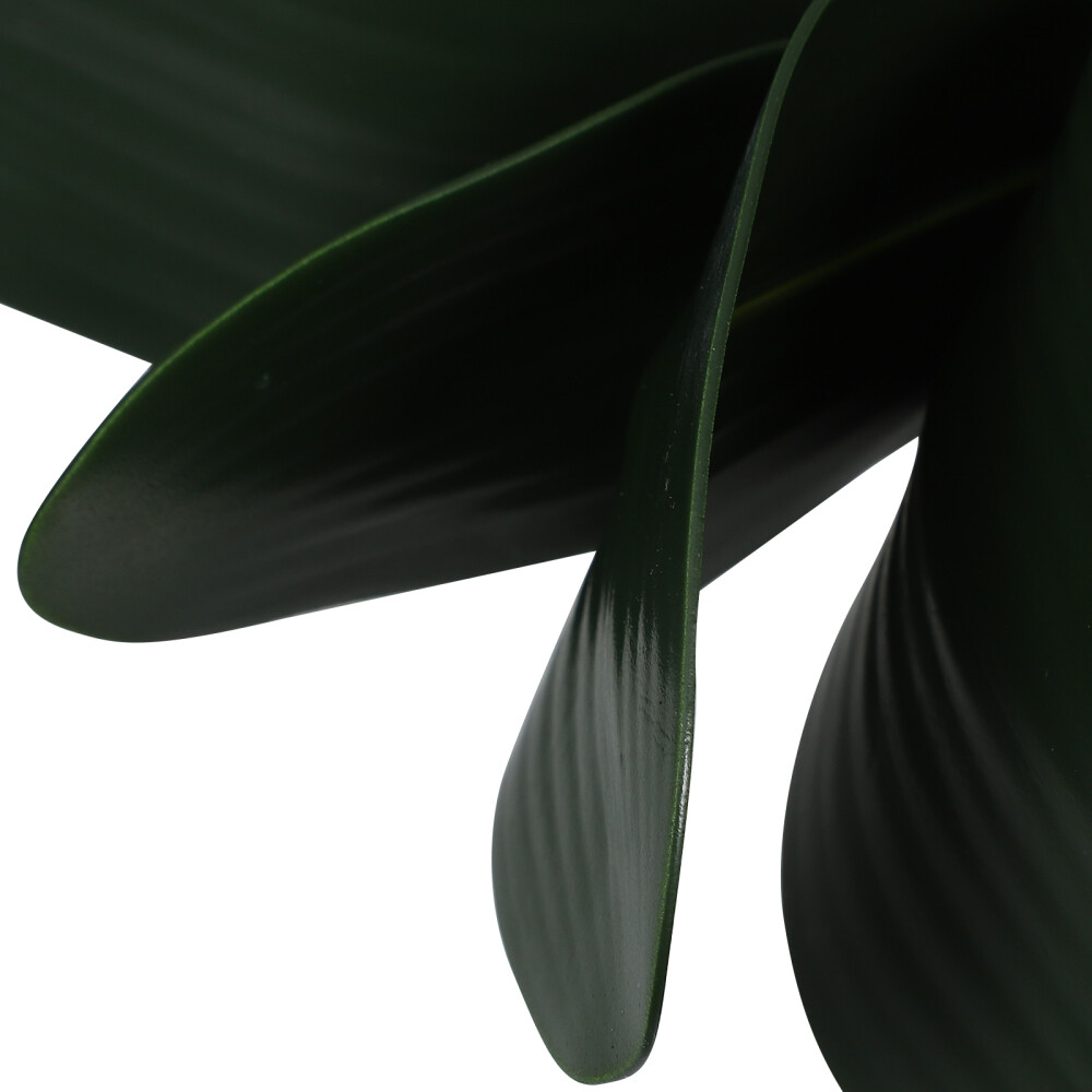 Bild 11 von 12