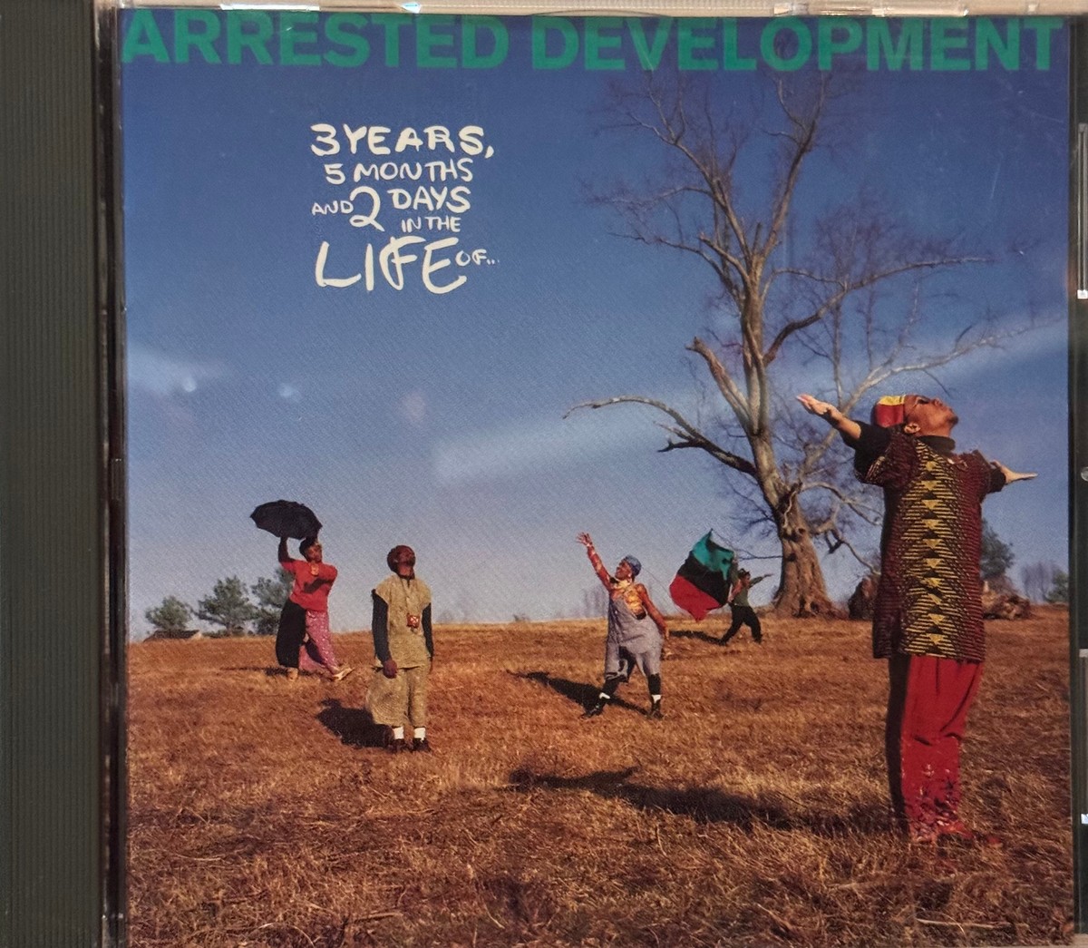 その他 Arrested Development 3 Years, 5 Months その他 Arrested Development 3 Years, 5 Months Arrested