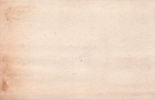 1880s-90s You Will Save Money Purchases by Patronizing Frear's Bazaar Boy Flower - Picture 2 of 2