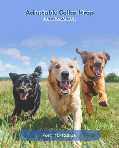 Rechargeable Dogs Training Collar with 1000Ft Remote for Medium Large Dogs - Picture 3 of 6