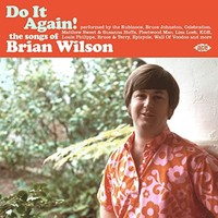Various Artists - Do It Again! The Songs Of Brian Wilson - Cd - F72Z