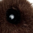 Bild 11 von 11