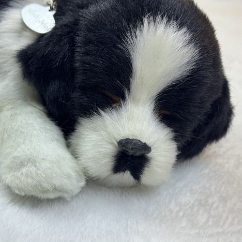Juguete de peluche de respiración realista realista Petzzz Border Collie probado funciona - Imagen 3 de 13