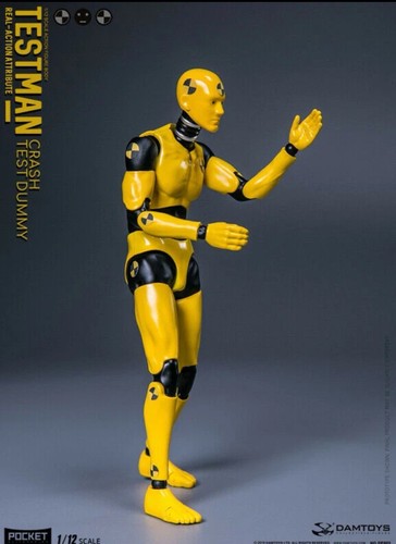 Damtoys DPS02 1/12 Crash Test Dummy Testman 6 Zoll weibliche Actionfigur Puppen Spielzeug - Bild 3 von 8