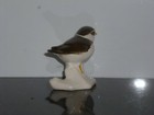 Bild 10 von 12