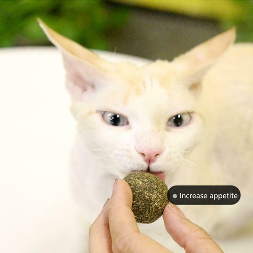 Lick Nutrition Ball Cat Snack Catnip Ball Help Wall & --us Digestion Mount 2025 - Picture 11 of 12