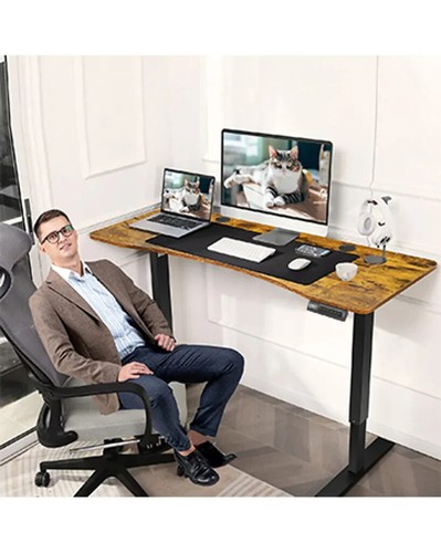 140x60cm Höhenverstellbarer Schreibtisch Elektrischer mit 4 Memory Funktion NEU - Bild 5 von 9