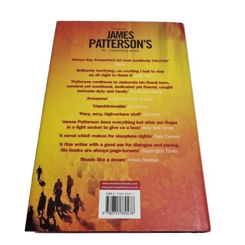 Judge and Jury by James Patterson, Andrew Gross (Hardcover, 2006) Headline - Picture 6 of 10