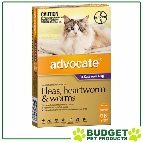 Advocate For Large Cats Over 4kg 6 pack