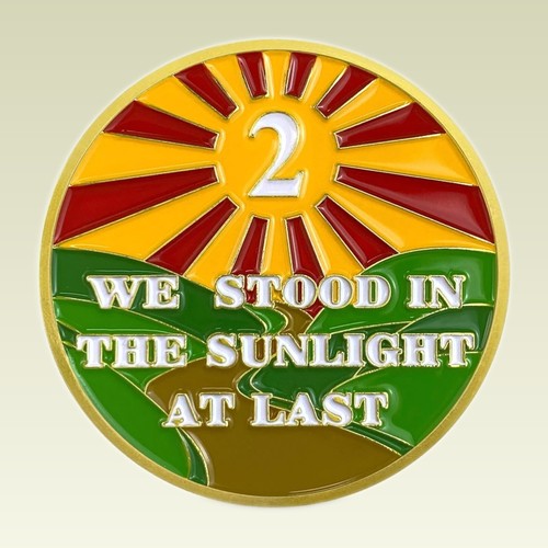 2 Year AA Sobriety Medallion AA NA HA Anniversary Coin Sobriety Chip Gift - Picture 2 of 8