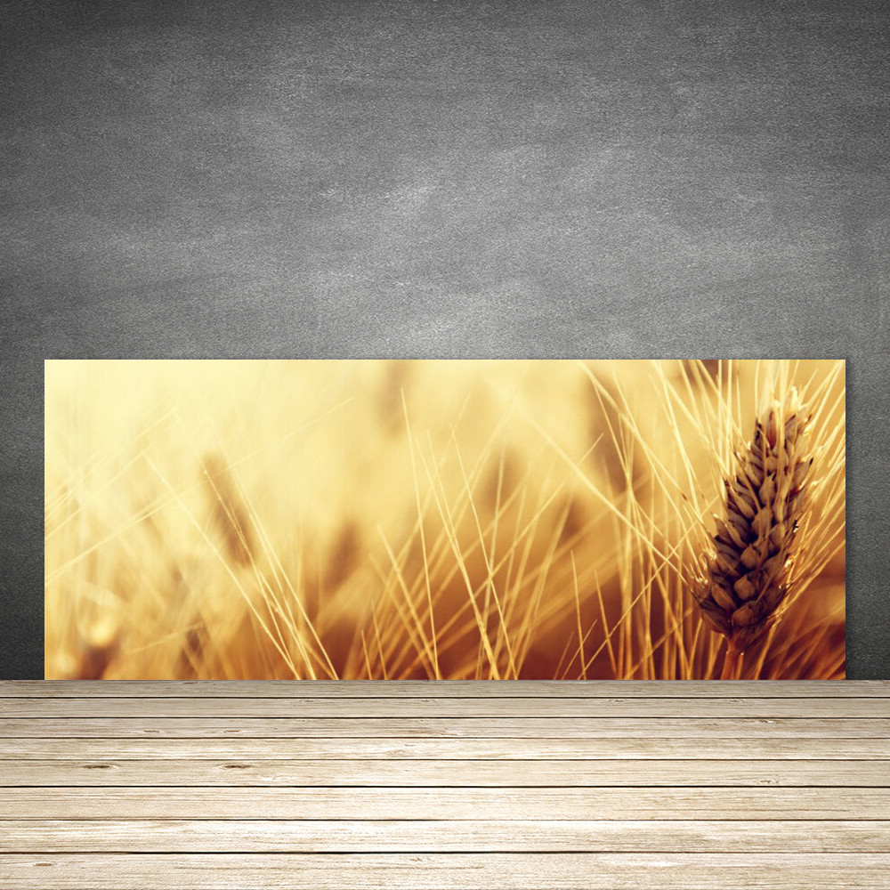 Crédence de cuisine en verre Panneau 125x50 Floral Blé Crédence de cuisine en verre Panneau 125x50 Floral Blé