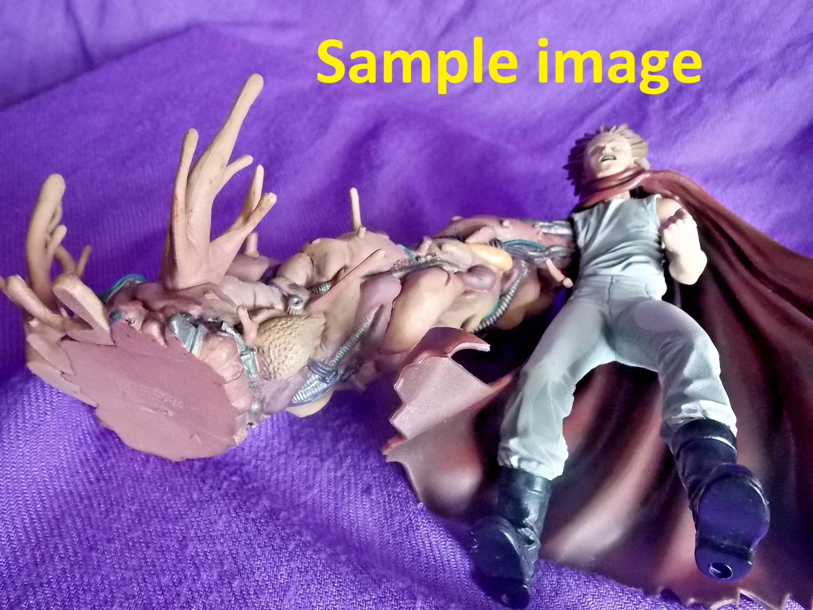 Picture 16 of 20