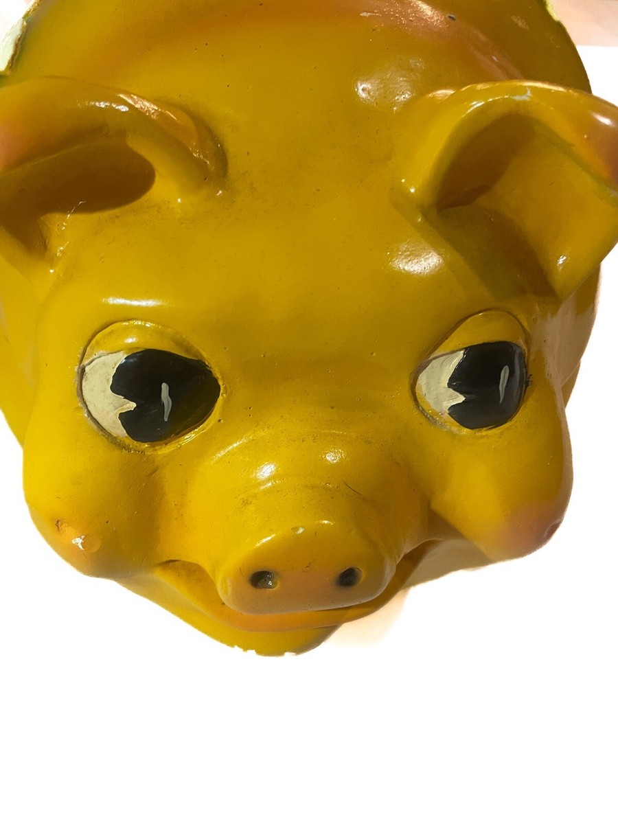 pig 81mWnb3E1fL._UF350,350_QL80_.jpg