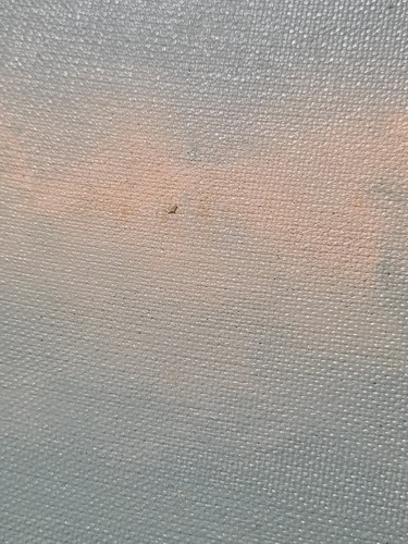 Pintura náutica al óleo sobre lienzo cortapelos barco alto. Firmado por artista. - Imagen 10 de 16