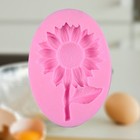 Set of 2 Silicone Cake Pan Moulds for Cupcake Mousse Mold Molds Baking