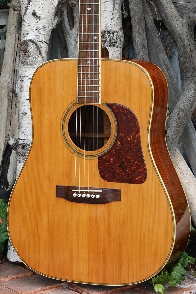 Takamine Elite TW-30 (1975) (250329) | eBay