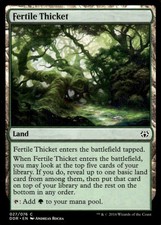 Fertile Thicket 027/276 Battle for Zendikar MTG Magic the Gathering card