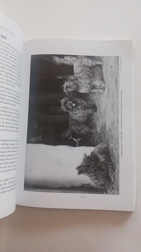 Canine Pencil Art Instruction Book Drawing From Line to Life by Mike Sibley - Picture 4 of 7